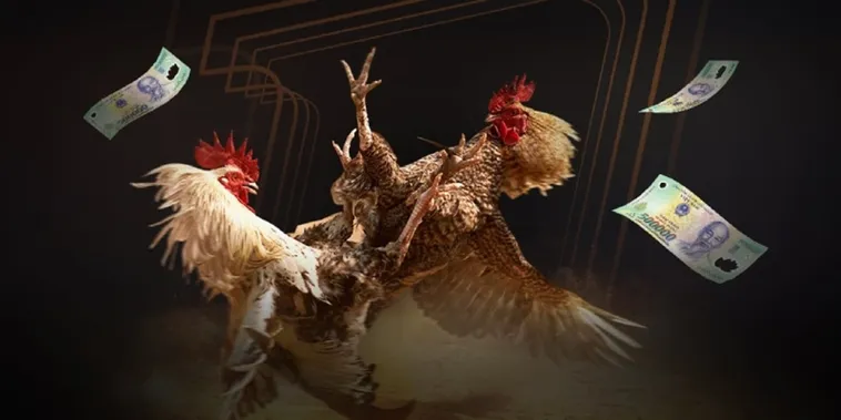 Đá Gà 988Bet 1 Đấu Trường Đá Gà 988Bet Bất Bại Nhận Thưởng Cực Khủng Ngay